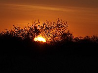 40-Sunset over the Canning Stock Route